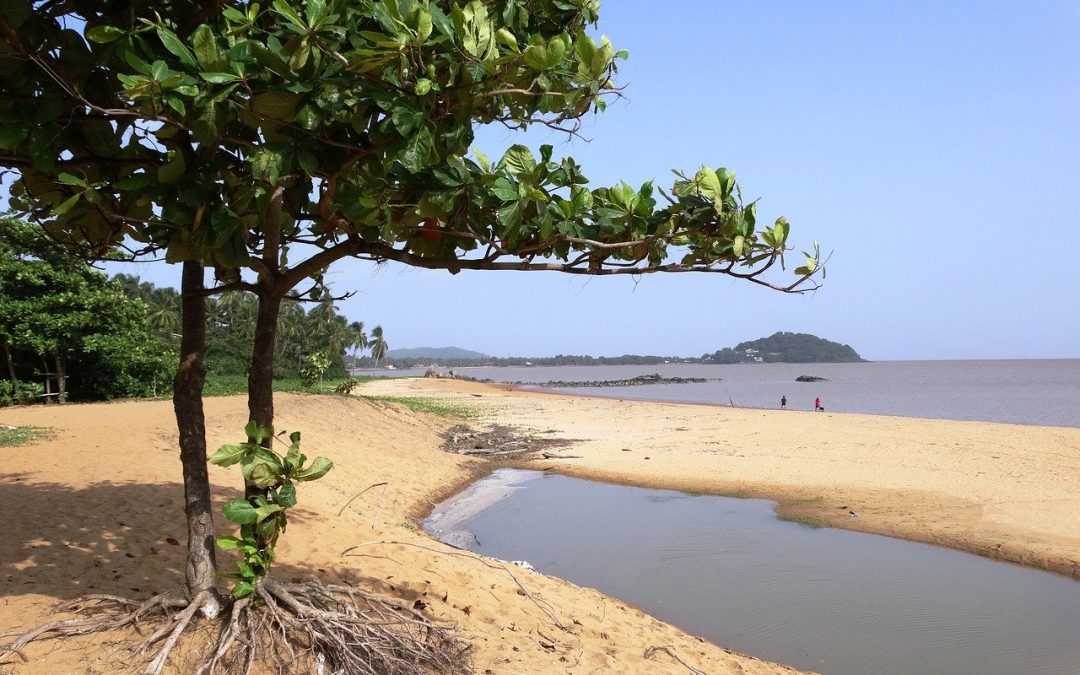 Comment louer une voiture pour un sejour en Guyane ?